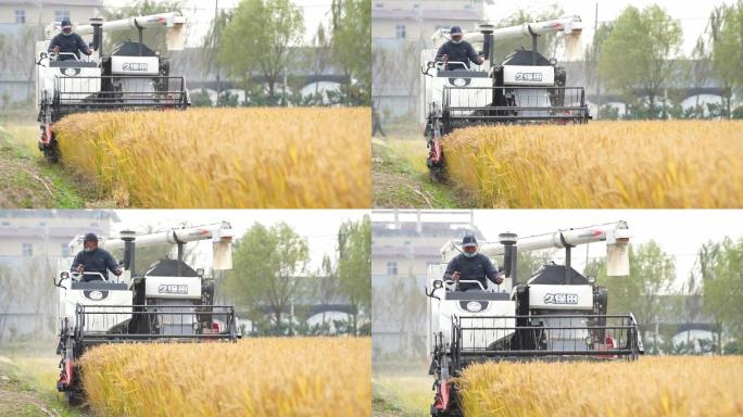 开收割机的农夫