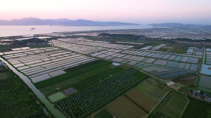 乡村振兴蔬菜种植水产养殖