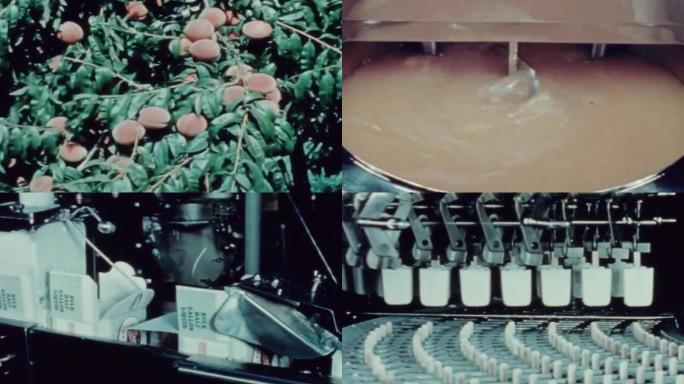 70年代冰激凌生产制造厂、各种水果