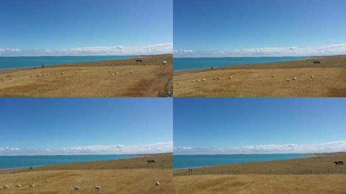 青海西北自然风光