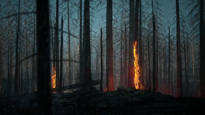 晚上树木着火了。大火山火消防