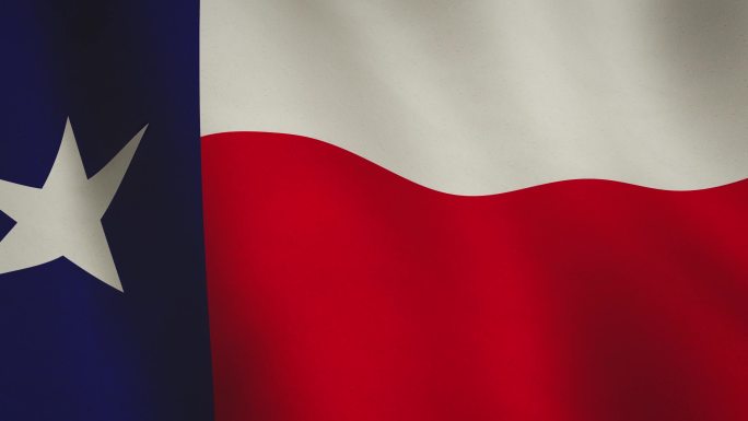 德克萨斯州旗帜国旗招展飘扬飘动国徽权力象