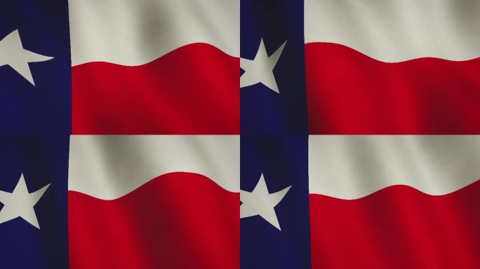 德克萨斯州旗帜国旗招展飘扬飘动国徽权力象