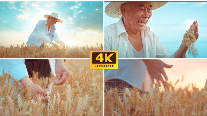 小麦丰收农民微笑大型联合收割机金色麦田