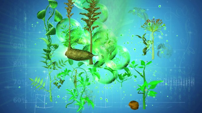 多种天然植物中草药环绕萃取药物分子