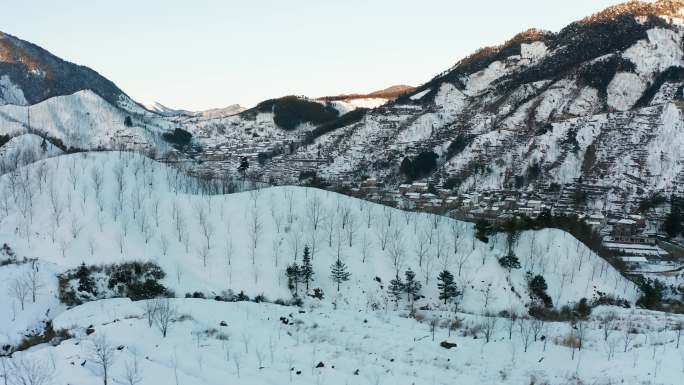 冬季清凉峰自然保护区雪景风光4K航拍