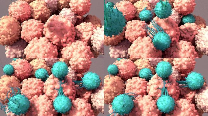 T细胞用于抗癌三维3d模拟病毒