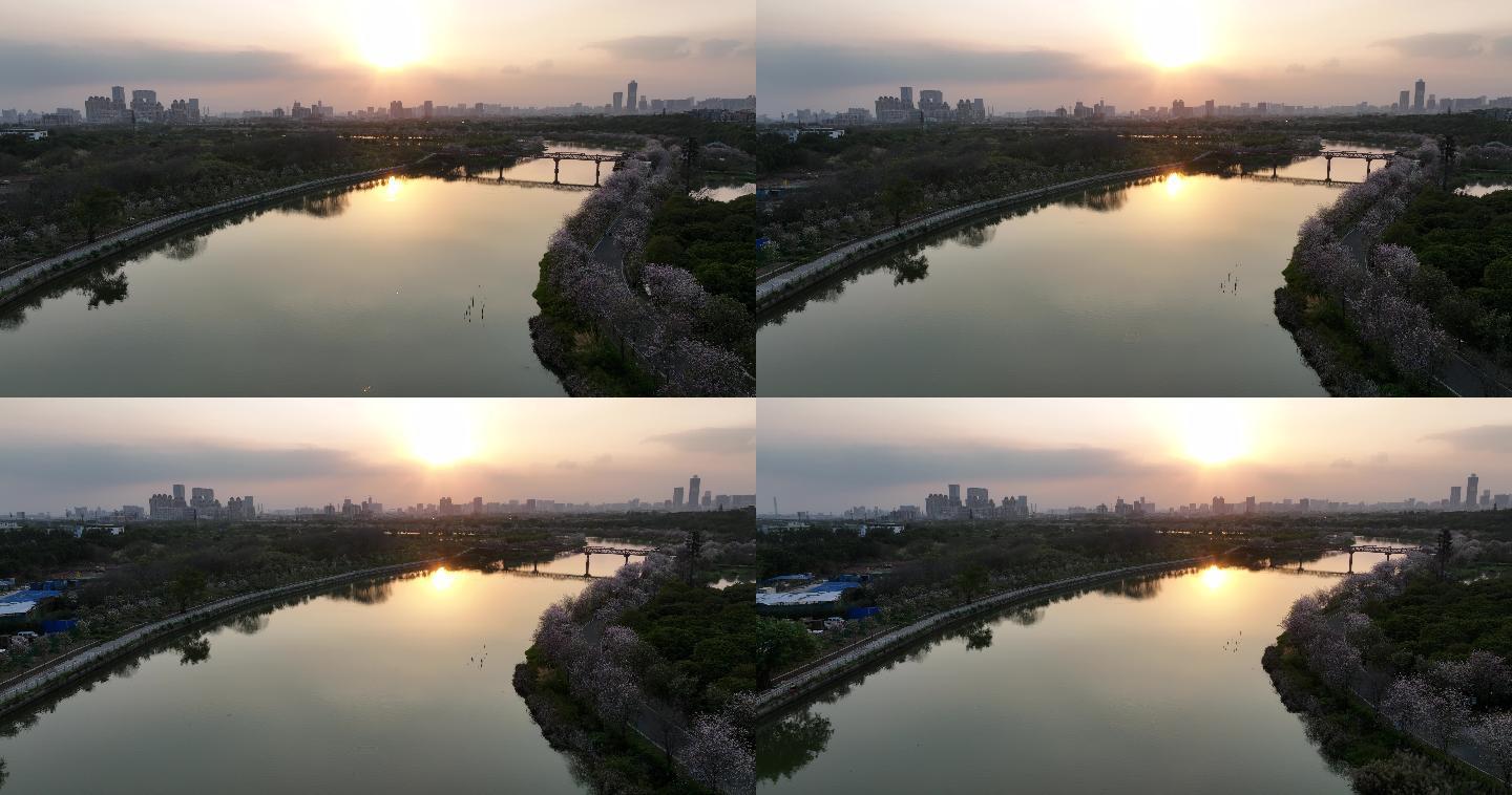 航拍广州海珠湿地公园全貌日落（御3）