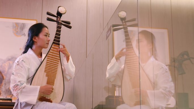 中国传统乐器琵琶笛子合奏