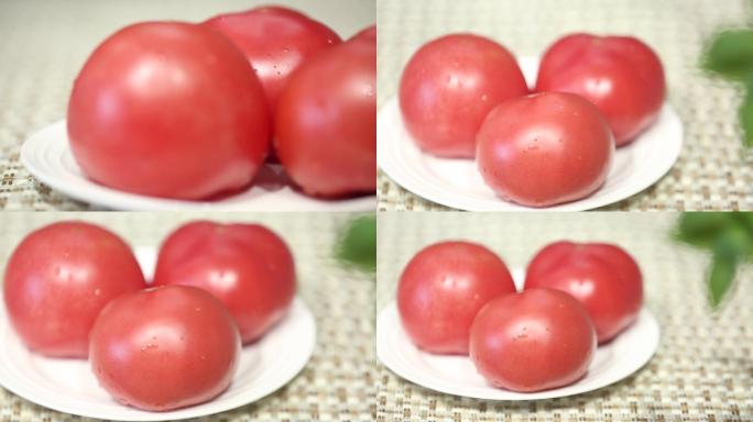 【镜头合集】西红柿番茄蔬菜