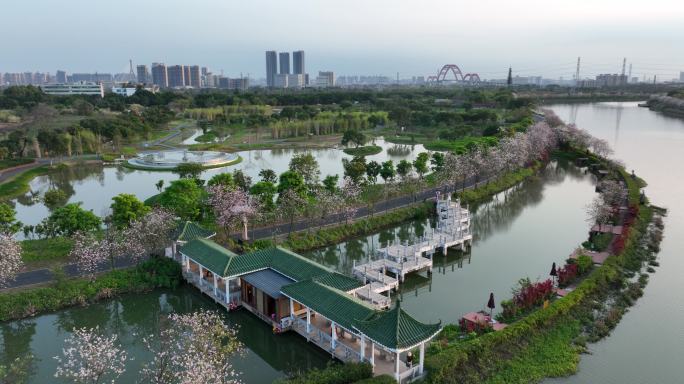 广州海珠湿地公园全貌