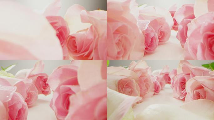 镜头穿梭粉色玫瑰花丛