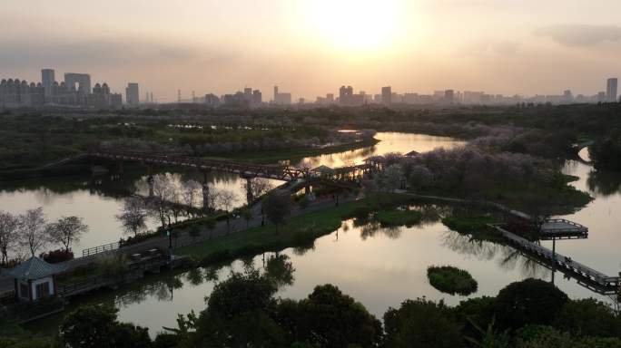广州海珠湿地公园日落全貌