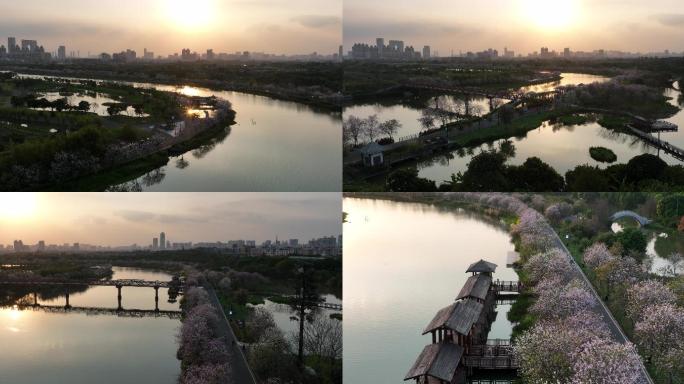 广州海珠湿地公园日落全貌