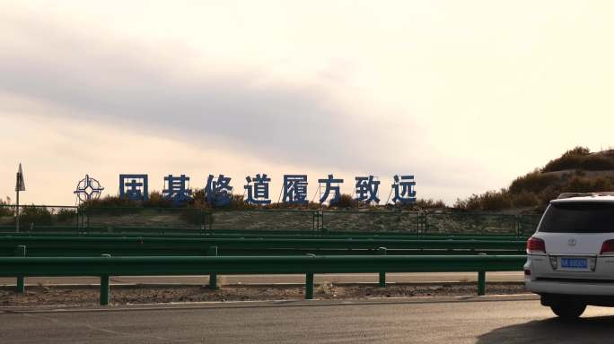 京新高速上的车流以及路旁的胡杨