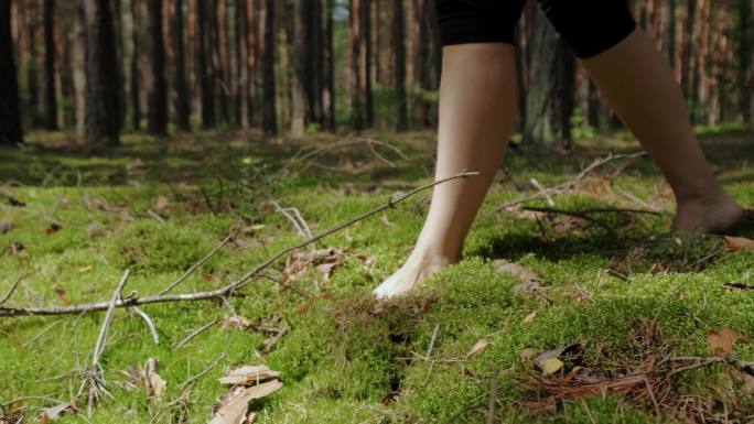 在森林里柔软的绿色苔藓上行走