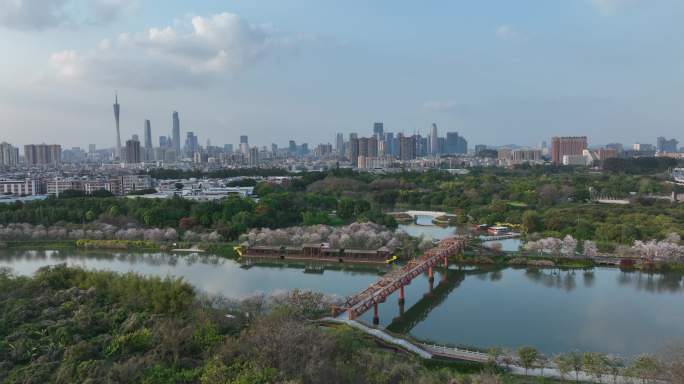 广州海珠国家湿地公园全貌