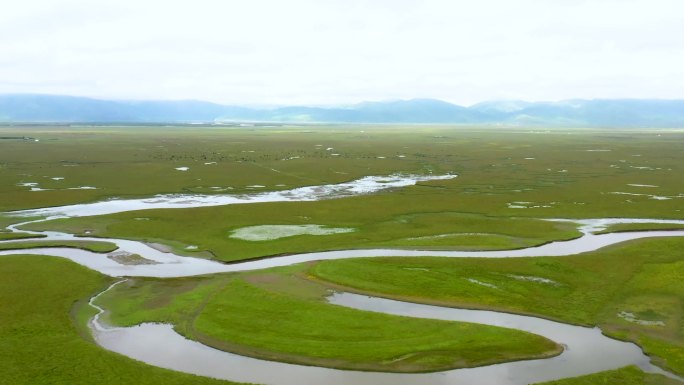 黄河第一湾黄河玛曲草原湿地