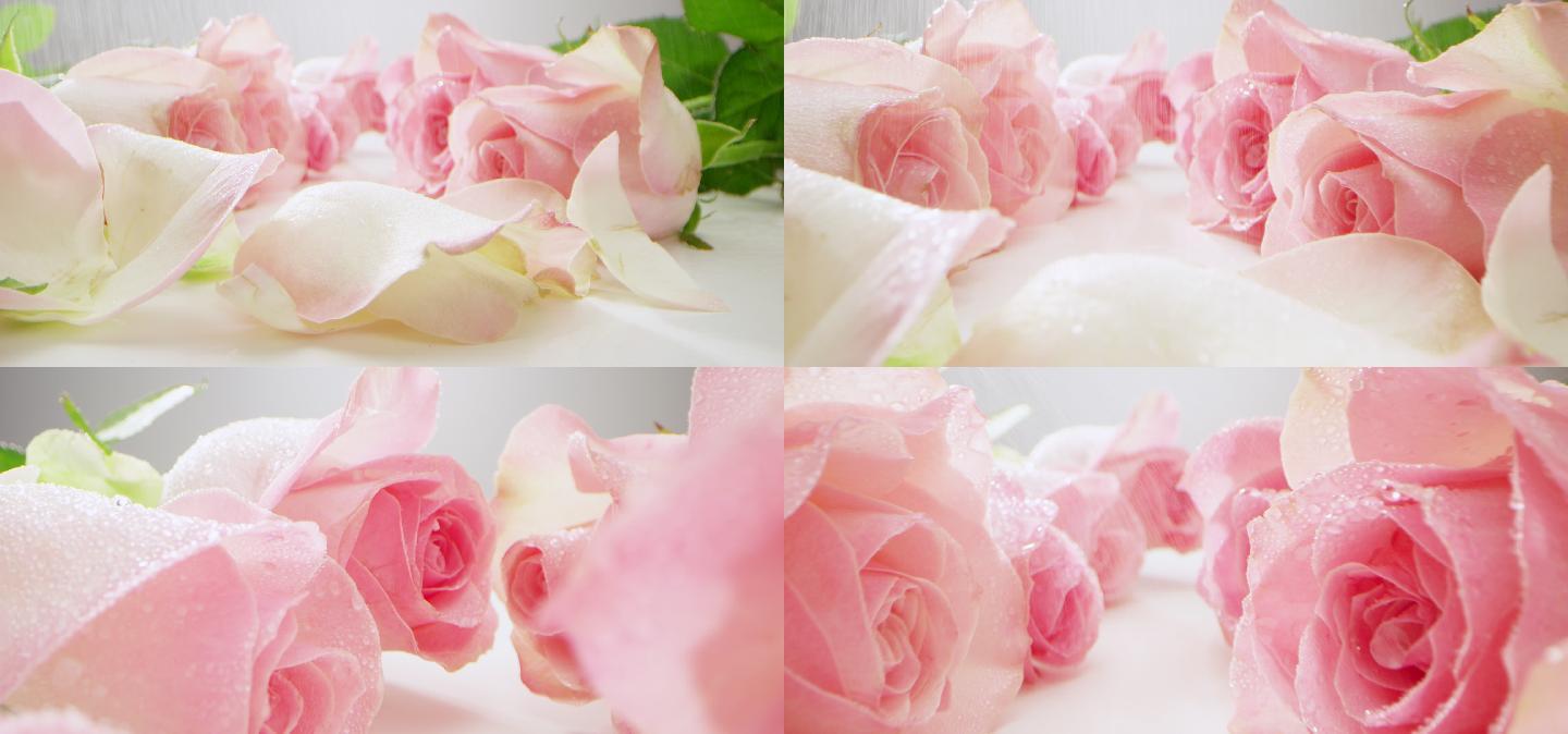 镜头穿梭雨雾粉色玫瑰花丛