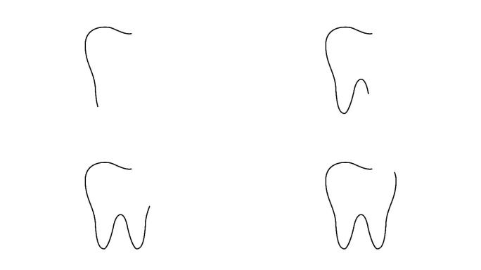牙齿轮廓动画。