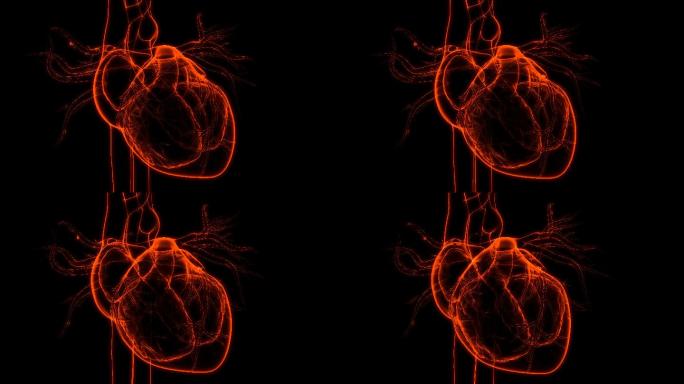 心脏跳动VR全息心脑血管AR模型