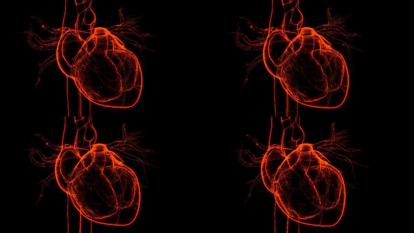 心脏跳动VR全息心脑血管AR模型