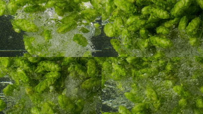 绿啤酒花掉入水中水绿色水下