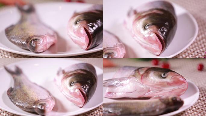 【镜头合集】白鲢鱼大头鱼胖头