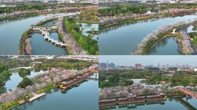 航拍广州海珠国家湿地公园全貌（御3）