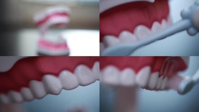 【镜头合集】牙齿模型演示刷牙~2