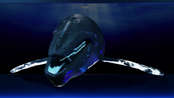 3d裸眼海底鲸鱼-视频素材