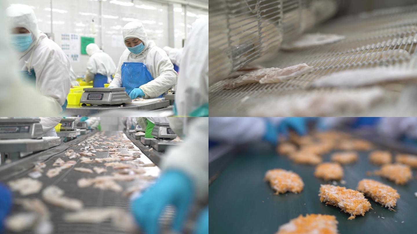 鱼工厂 生产线 鱼生产车间 政府供应