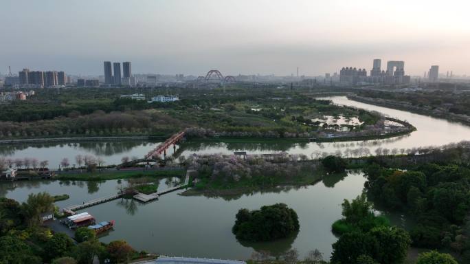 广州海珠国家湿地公园全貌日落