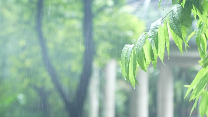 雨天空镜头