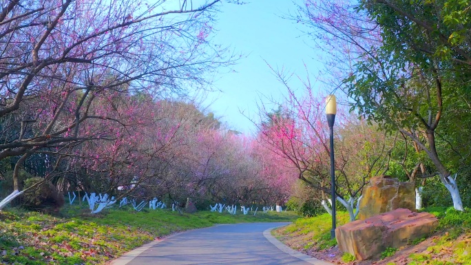 合肥植物园