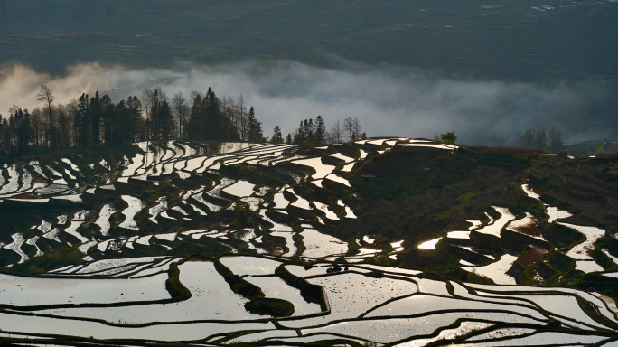 梯田云海延时合集（水墨梯田）