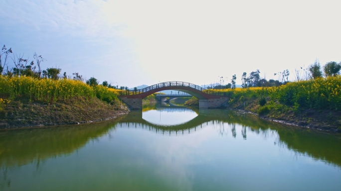 湿地公园的油菜花和石拱桥