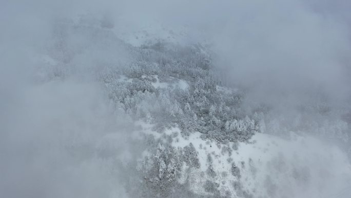 航拍湖北神农架冬季冬天阳光冰雪雪松雪景