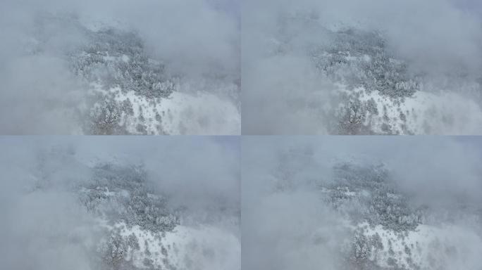 航拍湖北神农架冬季冬天阳光冰雪雪松雪景