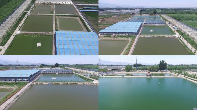 现代化水产养殖