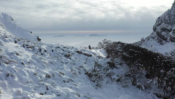 航拍湖北神农架冬季冬天阳光冰雪雪松雪景