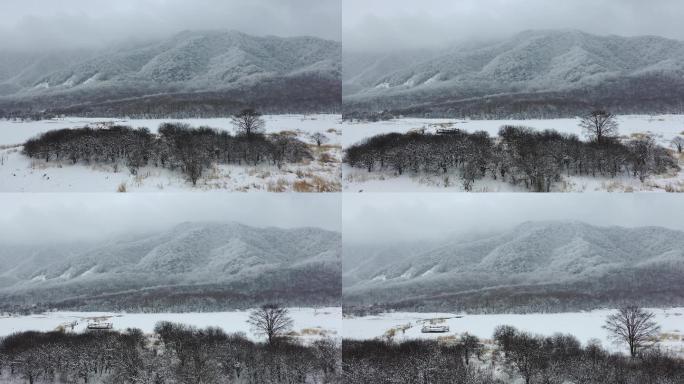 航拍湖北神农架冬季冬天阳光冰雪雪松雪景