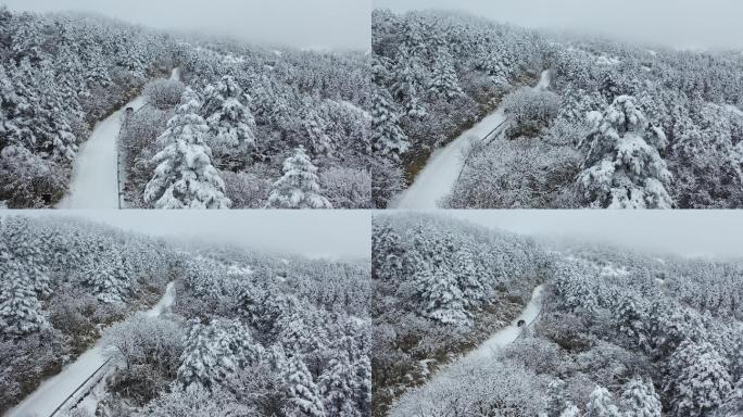 航拍湖北神农架冬季冬天阳光冰雪雪松雪景