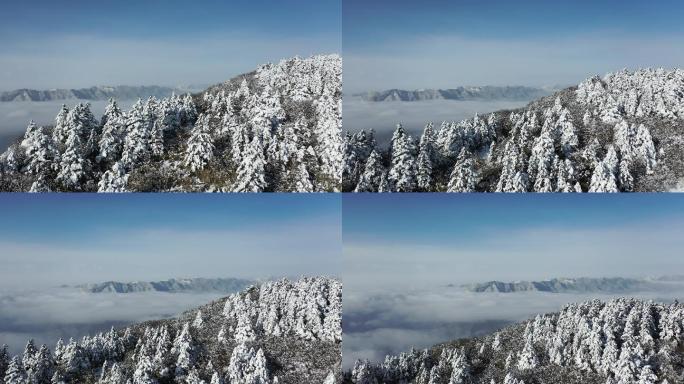 航拍湖北神农架冬季冬天阳光冰雪雪松雪景