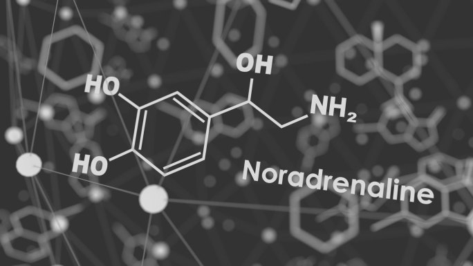 配方荷尔蒙去甲肾上腺素。