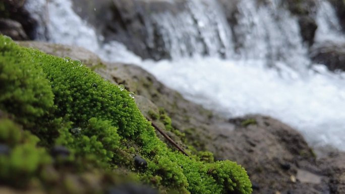 流水慢动作特写视频