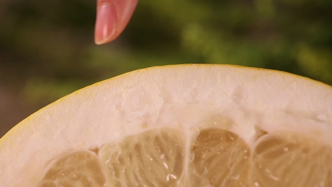 【镜头合集】各种柚子果肉纹理~1