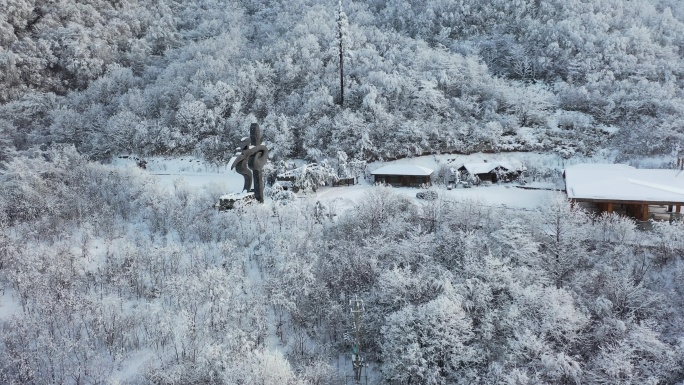 航拍湖北神农架冬季冬天阳光冰雪雪松雪景