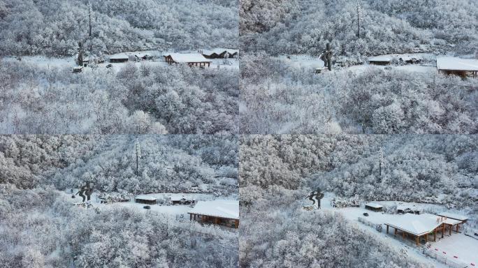 航拍湖北神农架冬季冬天阳光冰雪雪松雪景