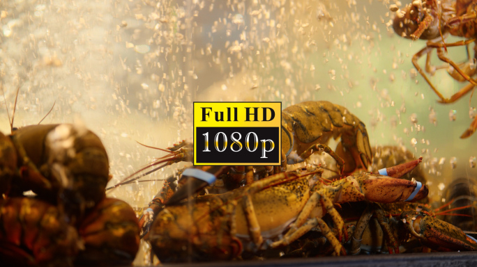 虾蟹【1080P】